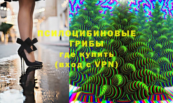 2c-b Кукмор
