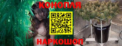 PSILOCYBIN Кингисепп
