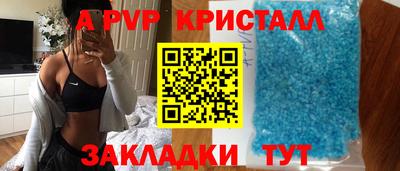 PSILOCYBIN Кингисепп