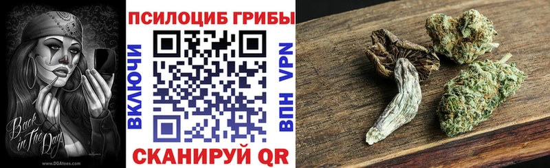 Псилоцибиновые грибы Psilocybine cubensis  Новый Уренгой 