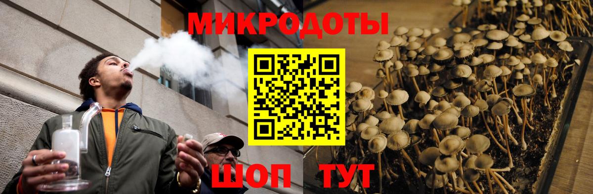Новый Уренгой  Псилоцибиновые грибы прущие грибы  Вход с VPN 