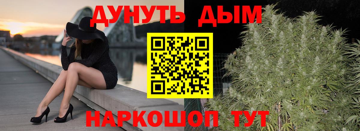 Шишки марихуана план Новый Уренгой